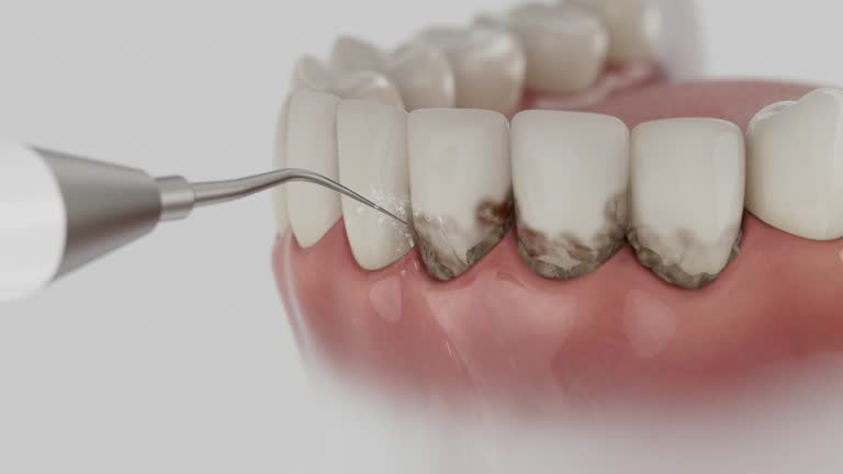 Reliable Dental contractor in Mystic Island, NJ by Dentist Open Now